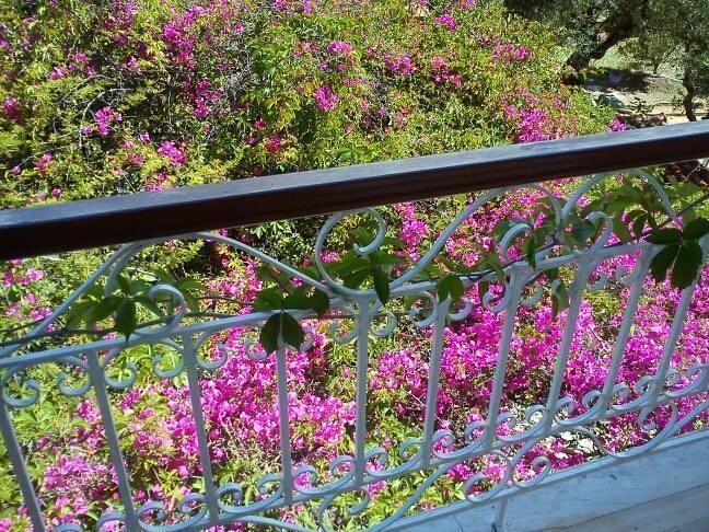 טסיליבי Sofos Apartments חדר תמונה