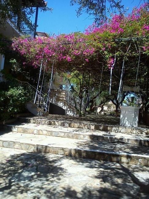 טסיליבי Sofos Apartments חדר תמונה